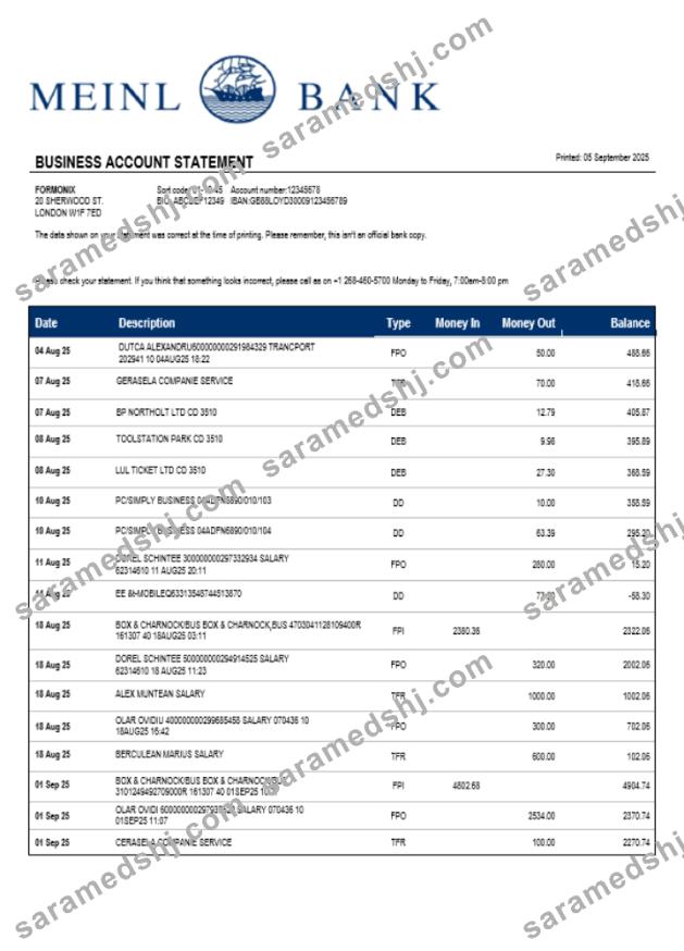 Meinl Bank company checking account statement Word and PDF template